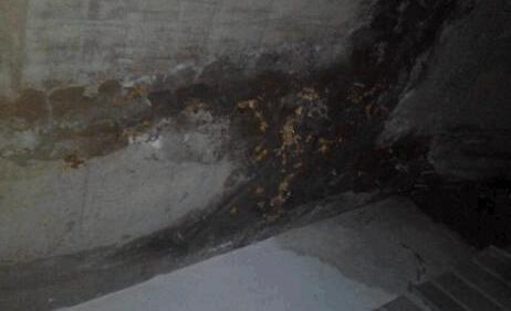 墻面滲水有什么辦法修復？屋頂防水施工的時候這些要留意