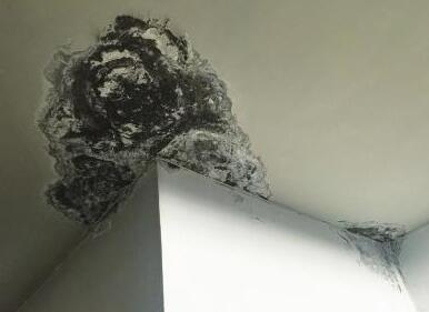 屋面漏水是由什么原因造成的？地震對(duì)于防水層的影響大么？