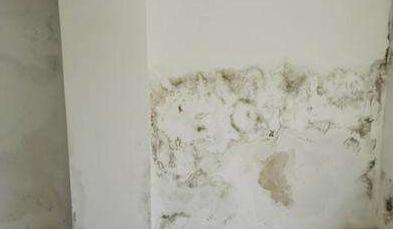 金屬屋面檐口滲水應(yīng)該怎么解決？家用防水涂料這幾點(diǎn)一定要注意