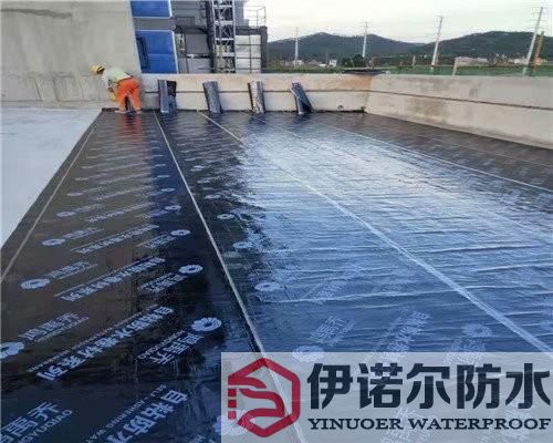 相城蘇州屋面防水