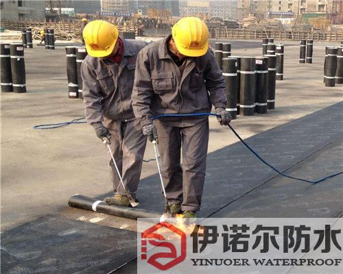 相城廠房屋面補(bǔ)漏